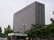 황우석 
