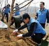 기후변화 극복 해결책 ‘나무심기’