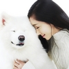 [펫슈] 개(犬)는 가축인가, 가족인가