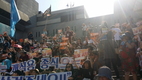 [펫슈] 개(犬)는 가축인가, 가족인가