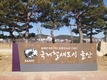 울산시, 태화강철새공원 ‘국제철새도시 울산 홍보 조형물’ 설치