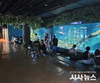경상북도, 2025년 민물고기생태체험관 어린이날 기념 특별전시