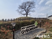 도로개설로 사라질 연산홍, 경산시 임당고분군에서 꽃피다