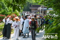 꽃분홍빛 철쭉의 향연...영주 소백산철쭉제 31일 개막