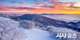 능선을 수놓은 겨울의 결정체