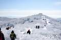 능선을 수놓은 겨울의 결정체
