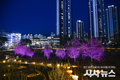대구 달성군의 밤이 예술이 되다! 유가 중앙공원, ‘빛의 캔버스’로 변신